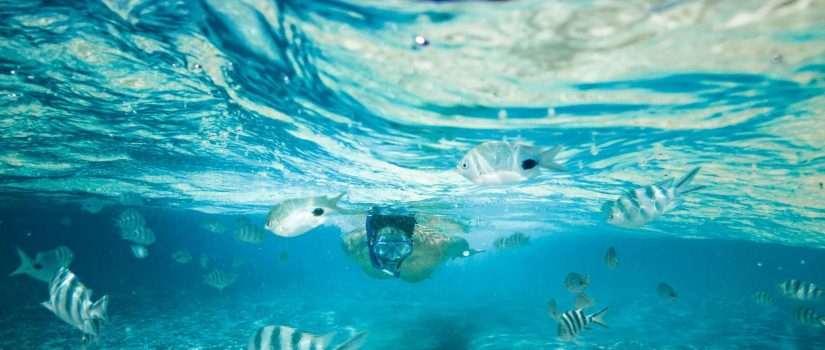 Club Med Kani, aux Maldives - Un homme se baigne dans l'Océan avec un masque de plongée. 